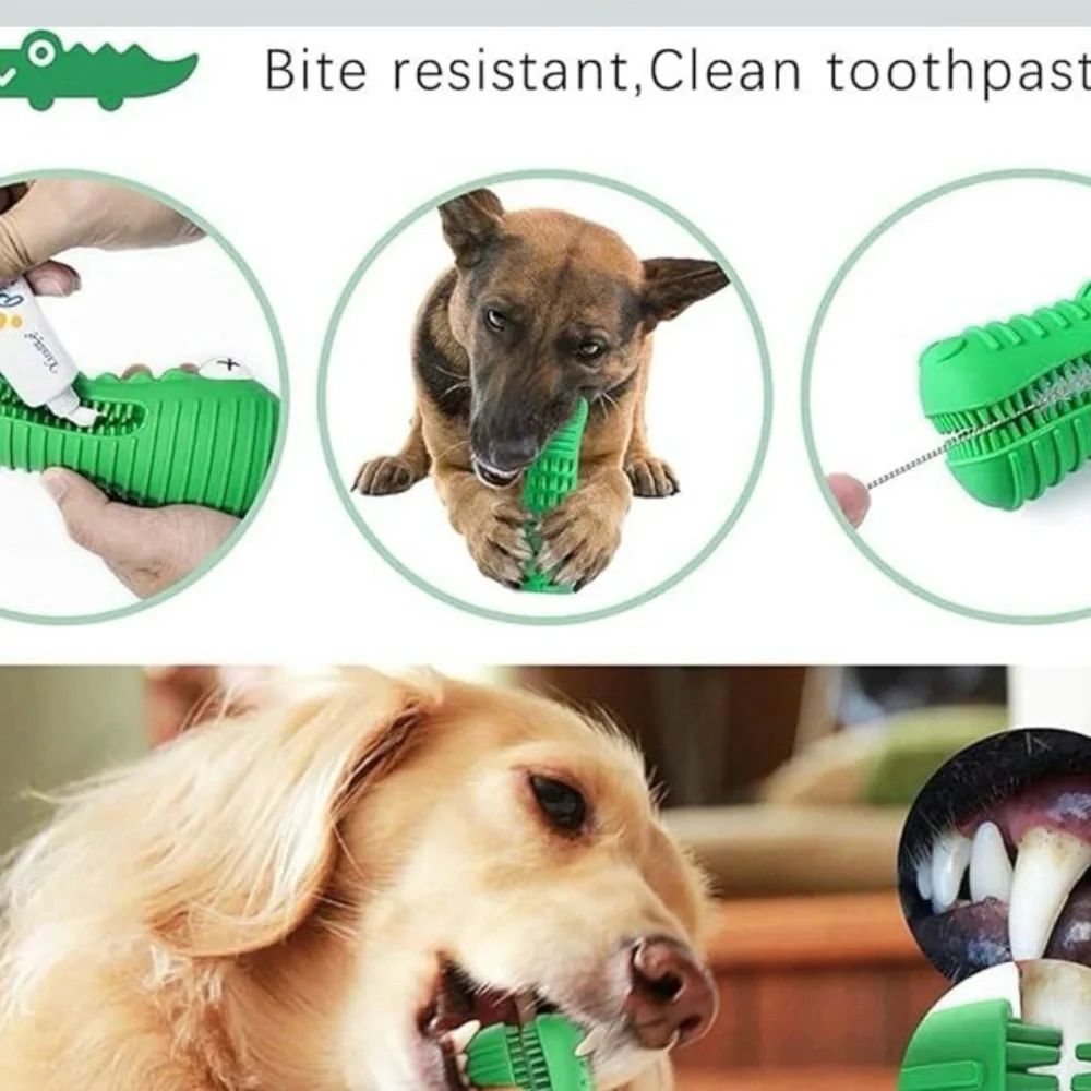 Green Dog Dental Chew Toy